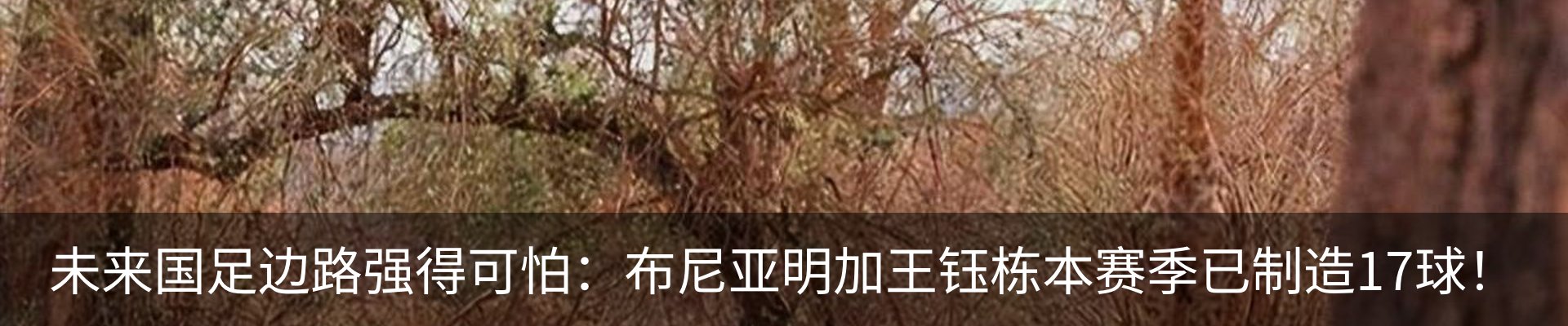 行业资讯