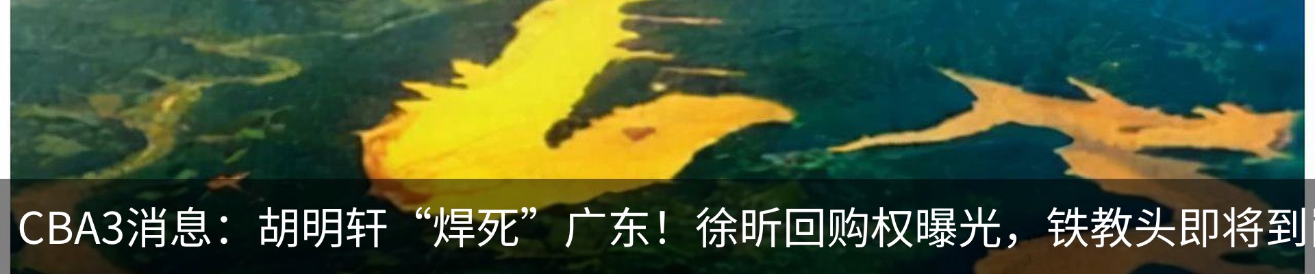 行业资讯
